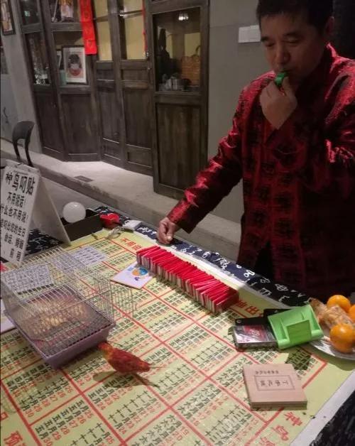 揭秘江湖骗术“黄雀@￥”，可怜的黄雀只是为了一粒小米