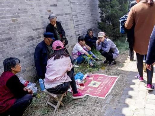 揭秘江湖骗术“黄雀@￥”，可怜的黄雀只是为了一粒小米