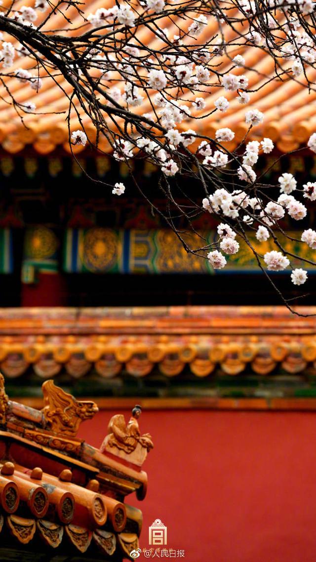 阴年阴月阴时出生，且左掌阴阳纹，右掌五雷纹，乃一奇人