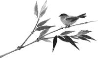 「夜读」林语堂：人生的乐趣