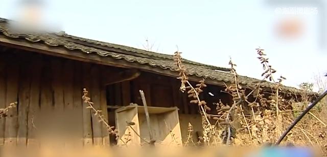 八旬老人被赶出家门，竟无人阻拦，儿子：我怕被她害死！纪录片