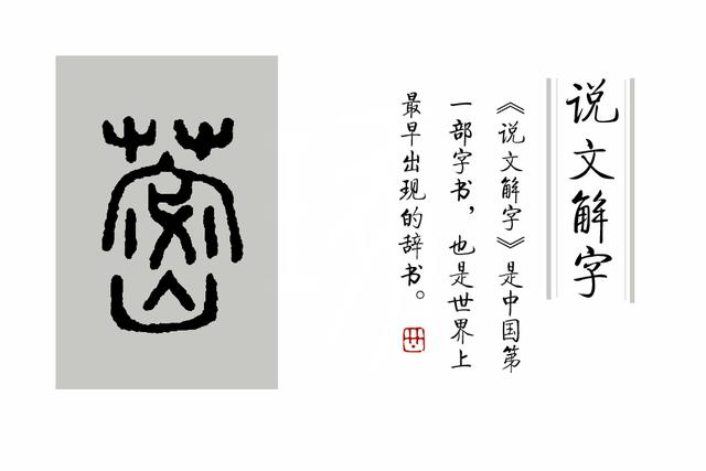 古文《周易》里，为什么选择蓍草来占卜吉凶？