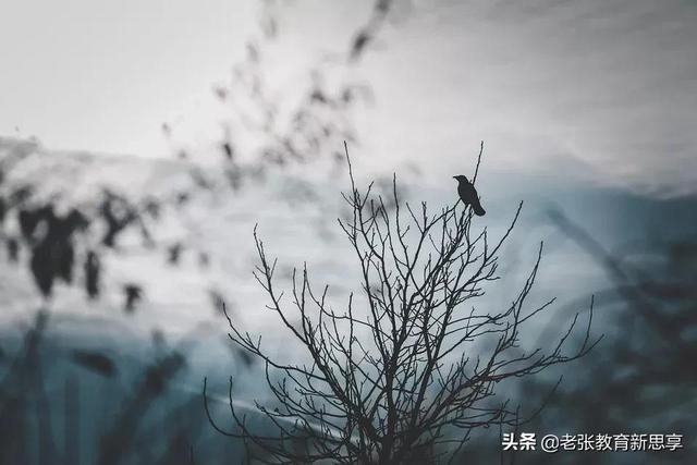 天人合一，大道修行的终极密码
