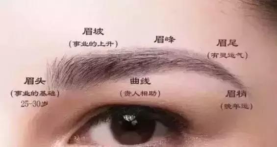 半永久｜真相了！你的眉毛里藏着命理，值得每个纹绣师好好看看