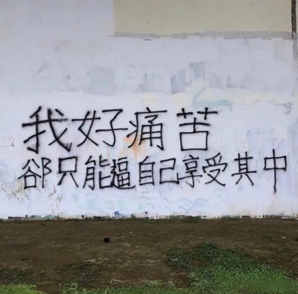 那些能让人心情大好的沙雕文案