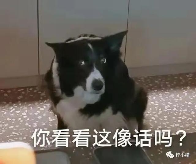 @￥先生说我婚后会乱来？！哈哈哈爷明天就找人结婚…