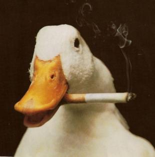幽默段子。你看你这张大长脸，快赶上拖鞋板了