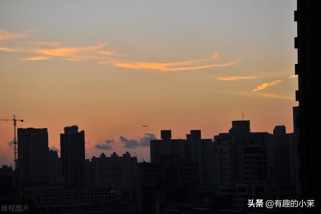 每日一笑话