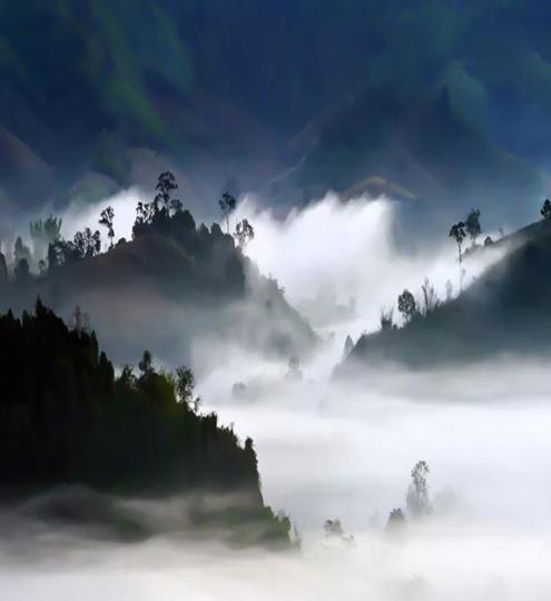 几度沉浮，最终回归梦想中的桃花源，留下不朽的诗篇