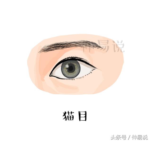 3种富贵无边的好命眼睛，你是哪一种？