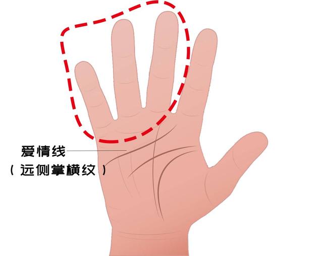 从医学角度，解读手相的秘密