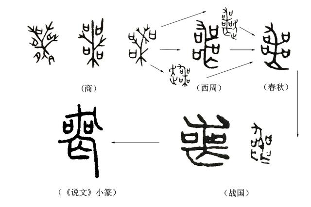 《说文解字》第191课：细说“哭、丧”