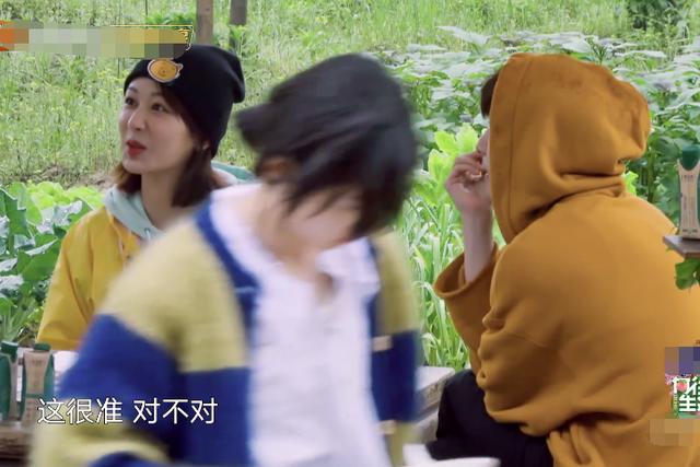 杨紫给张艺兴“@¥”,翻到自己的牌是红心,一番解释cp党甜到了