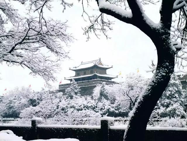 没事别去西安做地产，太扎心了