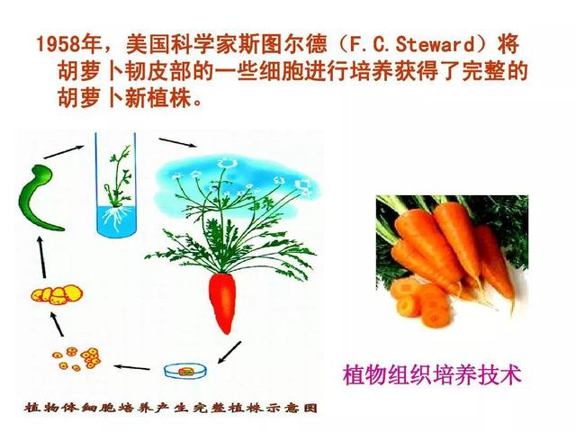 @￥的一定都是骗子吗？或许他们掌握了一些我们无法理解的技巧