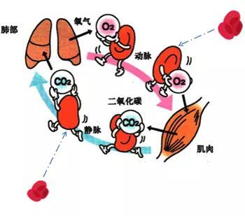 @￥的一定都是骗子吗？或许他们掌握了一些我们无法理解的技巧