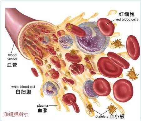@￥的一定都是骗子吗？或许他们掌握了一些我们无法理解的技巧