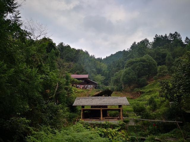大学生写家史︱走出麻十坡