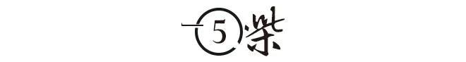 胡适老婆江冬秀：舌战北大教授，不打草稿连怼半小时，律师都惊了