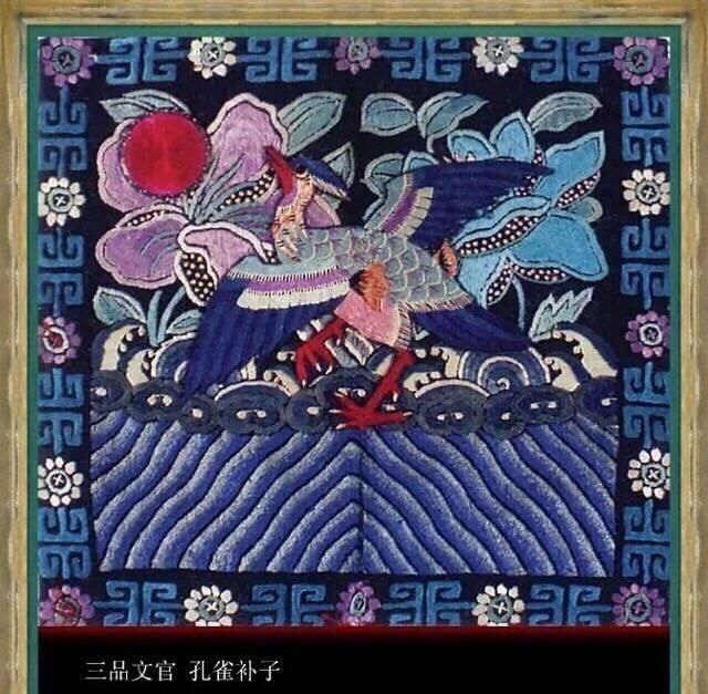 清朝官服三品文官补子为孔雀，为何“野鸡”比孔雀规格高居二品？