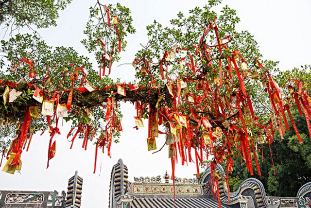 生辰生辰断流年秘诀八十条！
