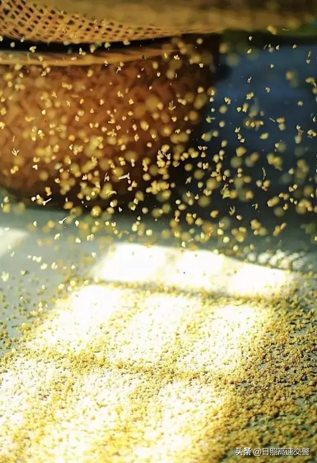 如果命运不宠你，请善待自己