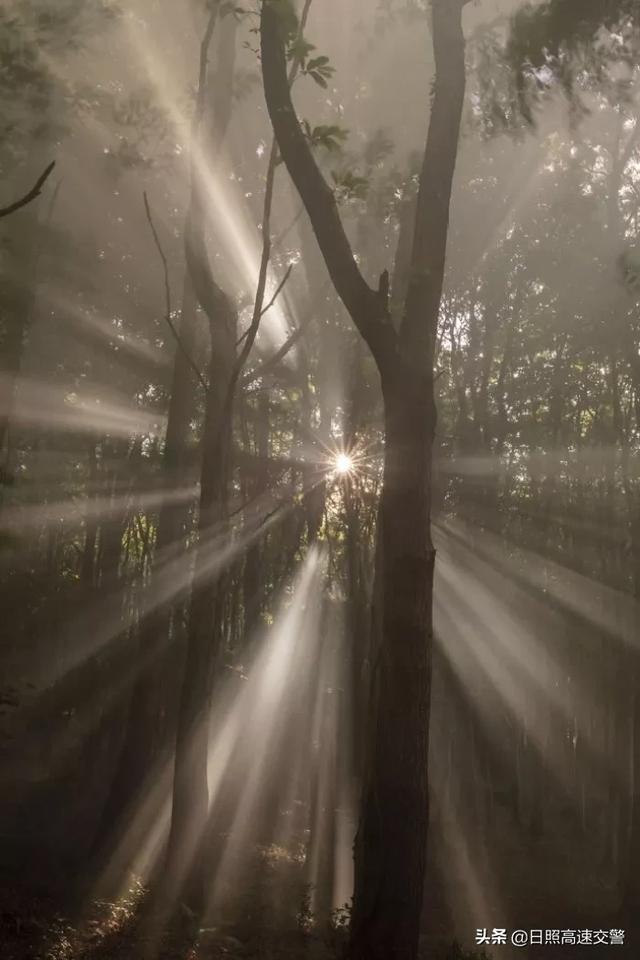 如果命运不宠你，请善待自己