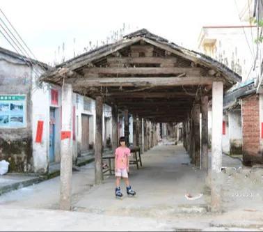 阳圩永远是我的乡土故园