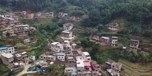 阳圩永远是我的乡土故园