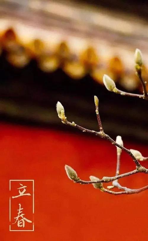 虎年春节谈谈本命年，女儿和前任皆属虎，会有啥说法么？