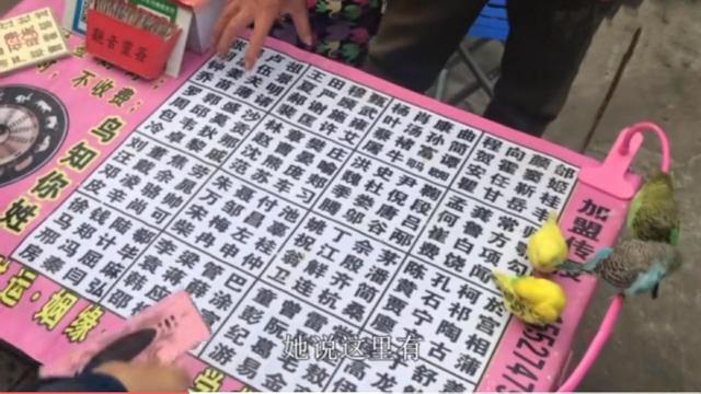揭秘小鸟@￥，不用你开口就小鸟就能算出你姓什么