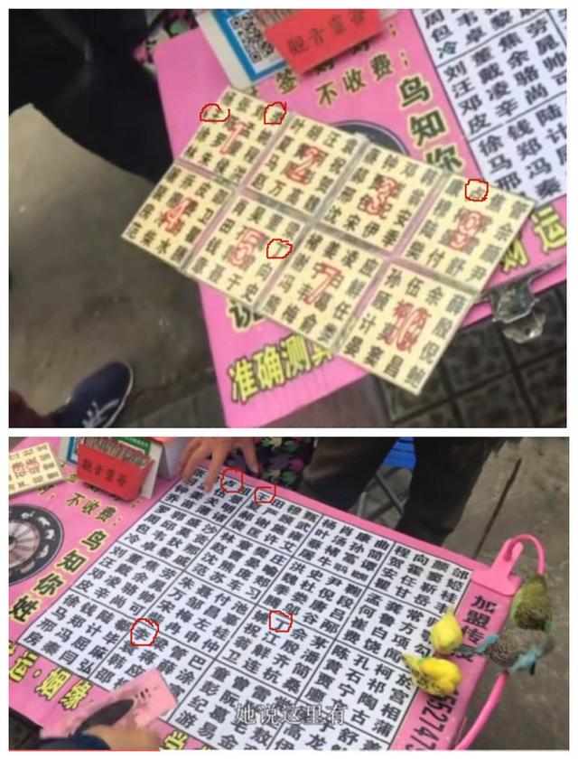 揭秘小鸟@￥，不用你开口就小鸟就能算出你姓什么
