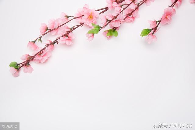 什么样的生辰易有桃花以及婚后什么样的婚姻会和谐幸福？
