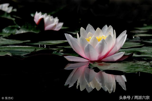什么样的生辰易有桃花以及婚后什么样的婚姻会和谐幸福？