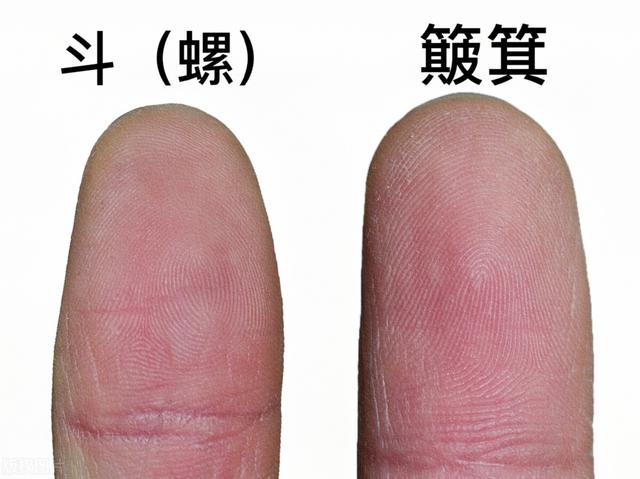 一斗穷、二斗富？真的有科学道理吗？中国院士发现斗与簸箕的奥秘