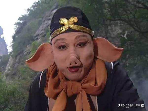 十二地支---亥（详解）