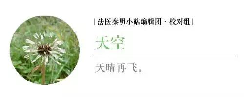 如果你会占星卜卦，你会用它来干什么？