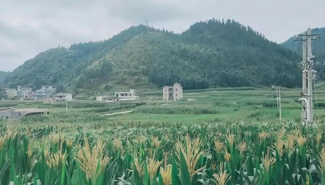 旅行途中看到有人家“发生辰”，和我家乡的不同