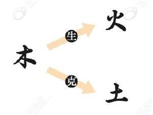 还不快看！简单易学！旺旺瓜漫谈生辰——旺衰法找用神(1)