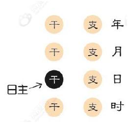 还不快看！简单易学！旺旺瓜漫谈生辰——旺衰法找用神(1)