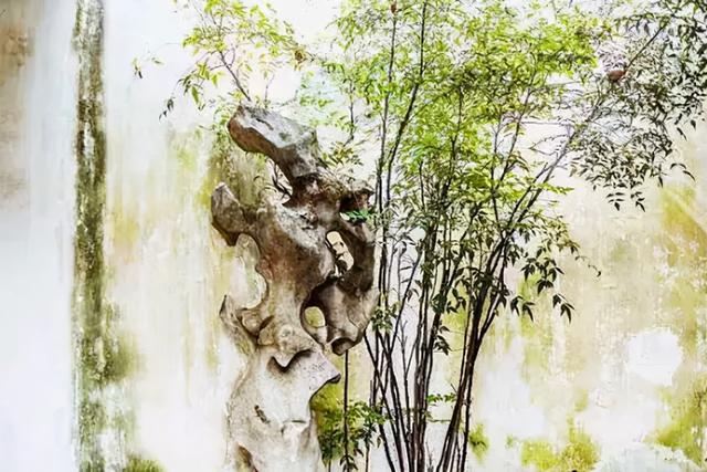 文人休闲，自有意趣