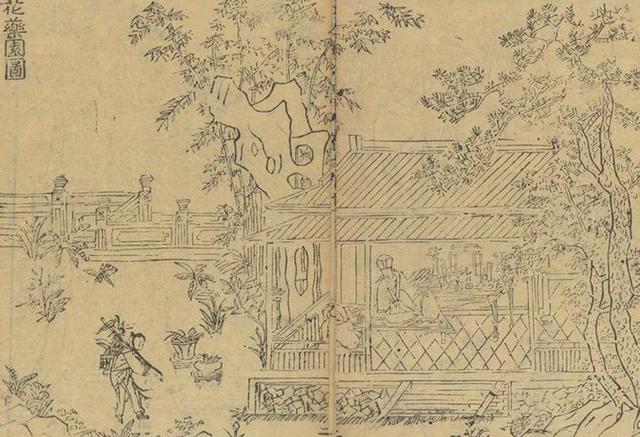 史林︱清玩与捐疴:明代江南儒医与花药园