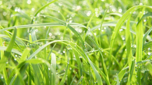 “生辰生辰”实例分析：辛丑、辛丑、癸酉、癸丑，男命！古老玄学
