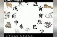 生辰命理：@￥大师教您地支取象之属性、意象、形象、类象汇总