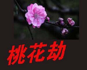 「无为子说风水」生辰里的桃花为何会带劫煞？