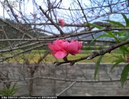 「无为子说风水」生辰里的桃花为何会带劫煞？