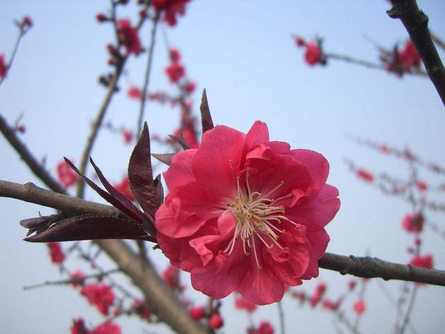 中小学生常用常考生辰成语30例（附释义）