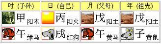 「无为子说风水」生辰命盘的架构