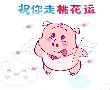 生辰中“桃花运的秘密”