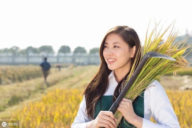 民间习俗丨生辰生辰算姻缘从何而来？十二生肖如何定姻缘？